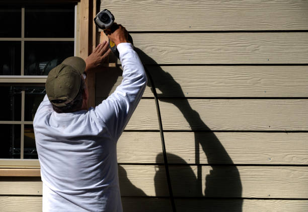 Affordable Siding Repair and Maintenance Services in Tremont, IL